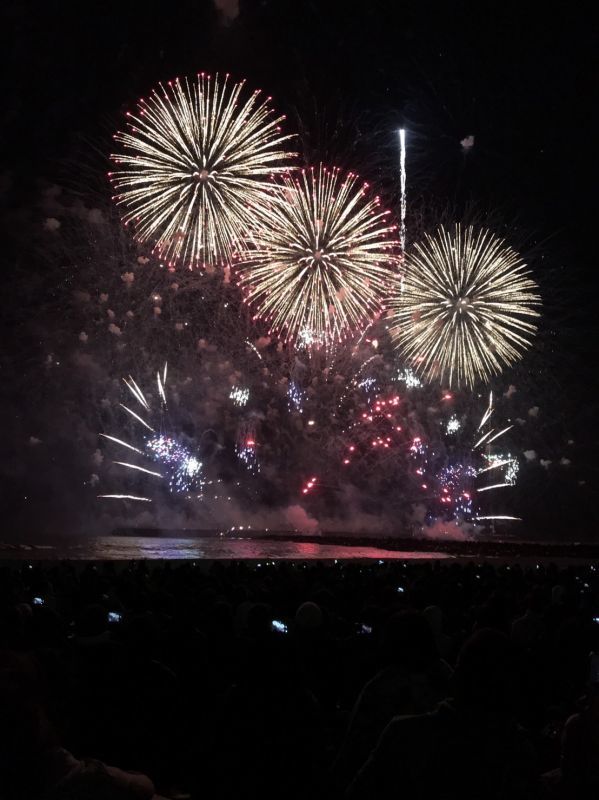 茅ヶ崎サザン芸術花火2018